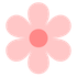 Simple pink flower illustration for women's hormone